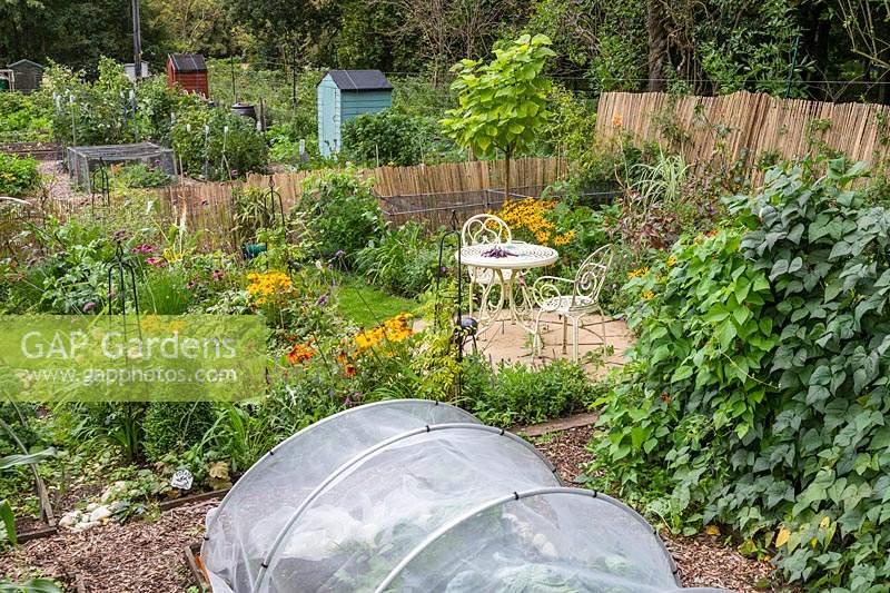 Overview of allotment with combination of vegetables, ornamentals and lawn