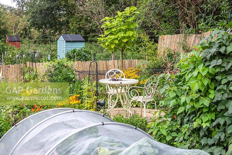 Overview of allotment with combination of vegetables, ornamentals and lawn