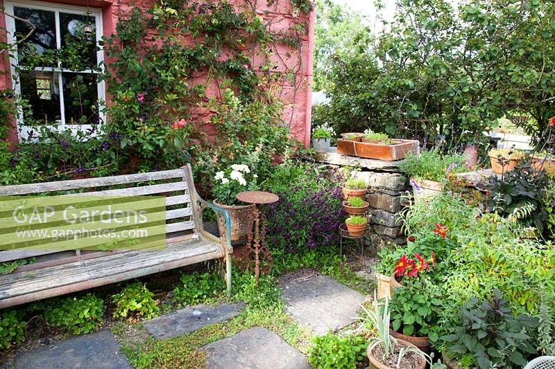 Small front garden with bench and colourful containers. 