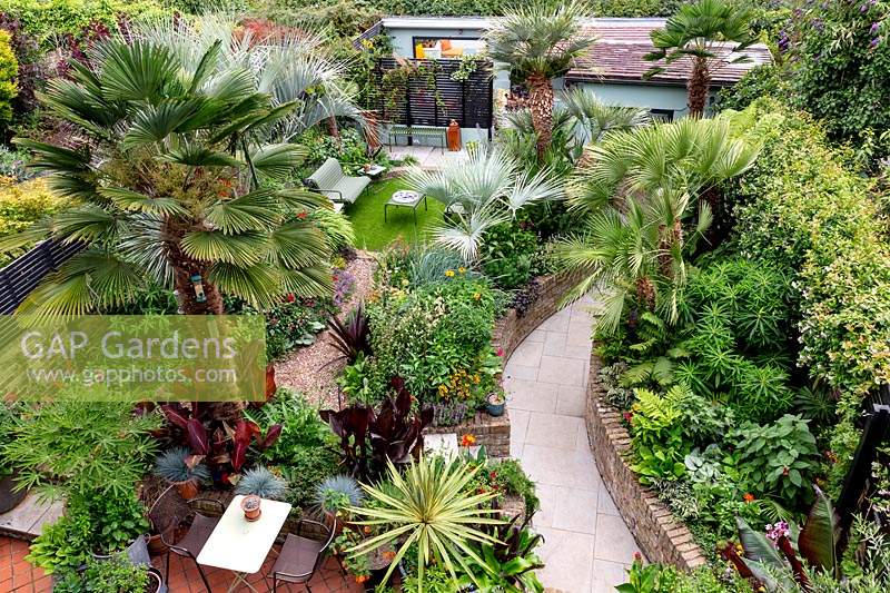 A tropical garden in London. High view of garden showing curved path leading through borders to seating areas