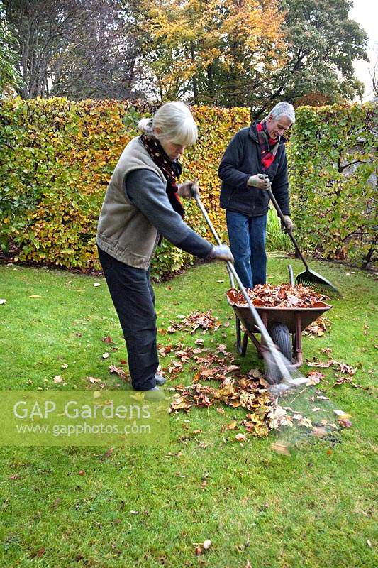 Annika Sandell and Robert Johnston raking fallen leaves to make leaf mould compost