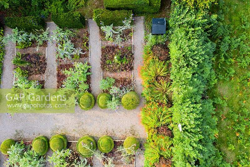  The Vegetable Garden with formal planting of Cynara cardunculus 'Florist Cardy' and Heucera 'Palace Purple'. Egg cup topiary of buxus sempervirens. Image taken from drone. The garden has been created since 1987 by garden writer Anne Wareham and her husband, photographer Charles Hawes.