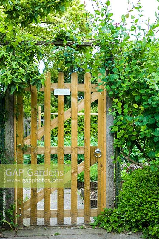 Wooden gate with rabbit netting at entrance to vegetable garden