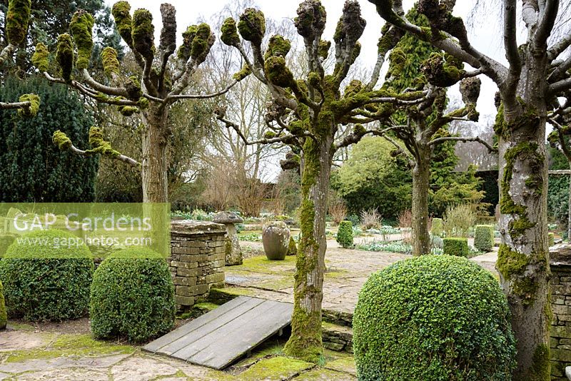 Pleached limes and clipped box framing a view into the Leisure Garden at Rodmarton Manor, Glos in February