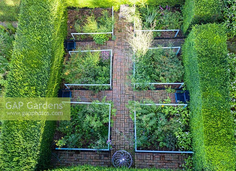 Small formal garden surrounded by clipped Taxus baccata.  Brick pathways through beds. 