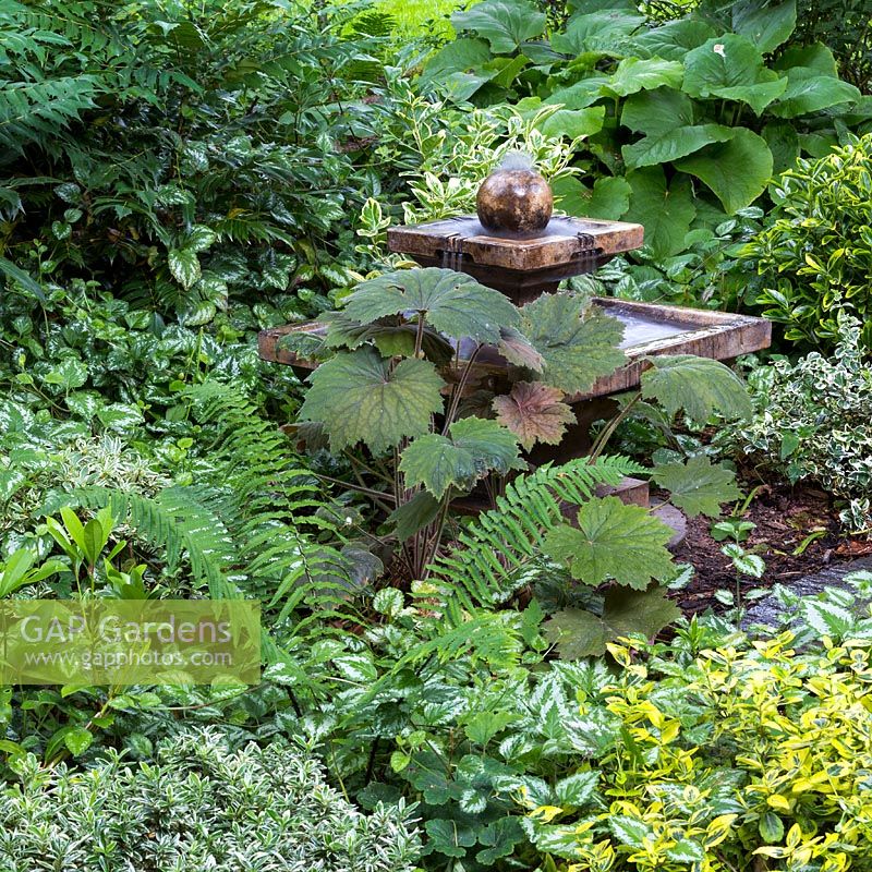 Stone water feature sits amidst a foliage planting including a number of variegated Euonymous and ferns. 