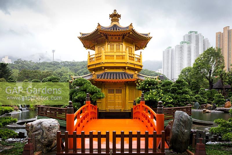 Entrance to the octagonal Pavilion of Absolute Perfection with its red Zi-Wu bridge, flanked by two mature Podocarpus macrophyllus - Buddhist Pine. The lotus pond and waterfall and the high-rise buildings beyond 