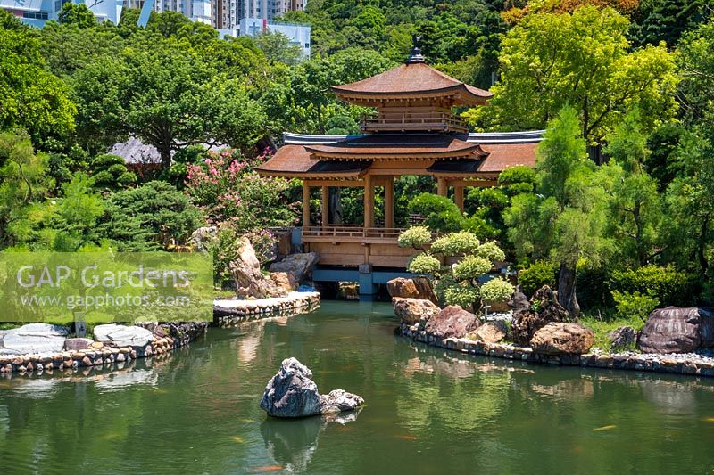 The Blue Pond with carp in the water, featuring the Pavilion Bridge. Trees surrounding it include the Buddhist pine, Podocarpus macrophyllus,  clipped Bougainvillea glabra 'Variegata and High-rise buildings of the city in the background.  