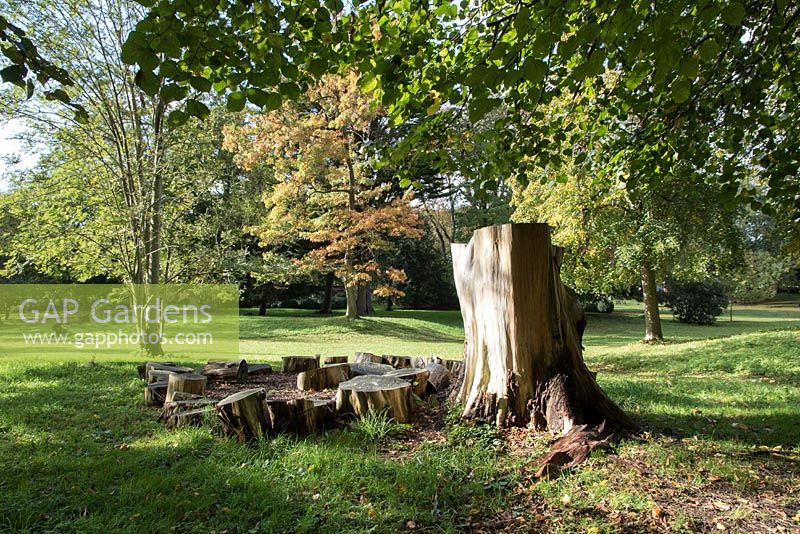 The Glade - The Gardens of Easton Lodge, Great Easton, Dunmow, Essex