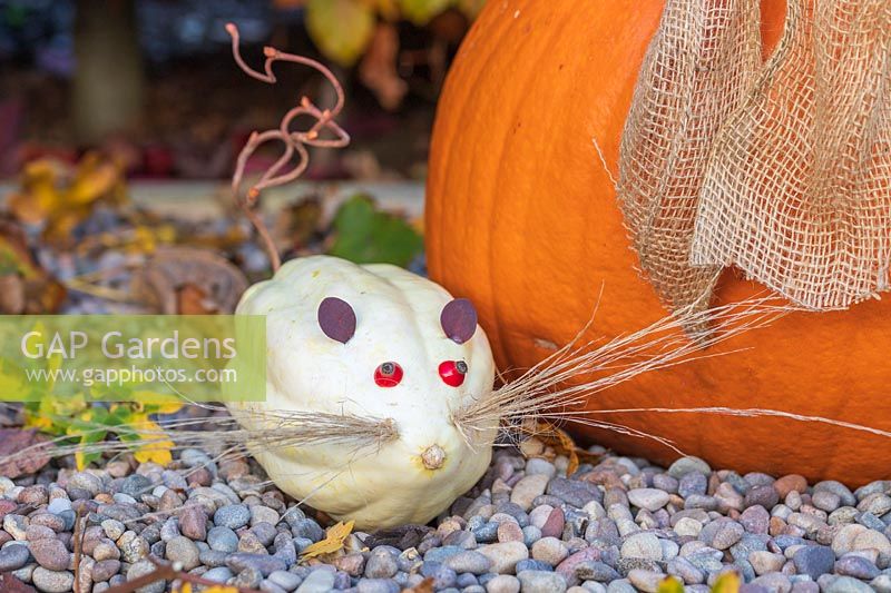 Pumpkin mouse made with Pumpkin Swan White with ornamental grass whiskers, rose hip eyes , Berberis ears and twisted  Hazel tail