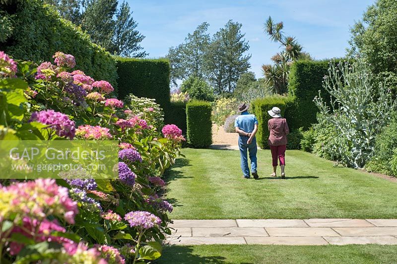 Couple in gardens with Hydrangea macrophylla and Onopordum acanthium - East Ruston Old Vicarage