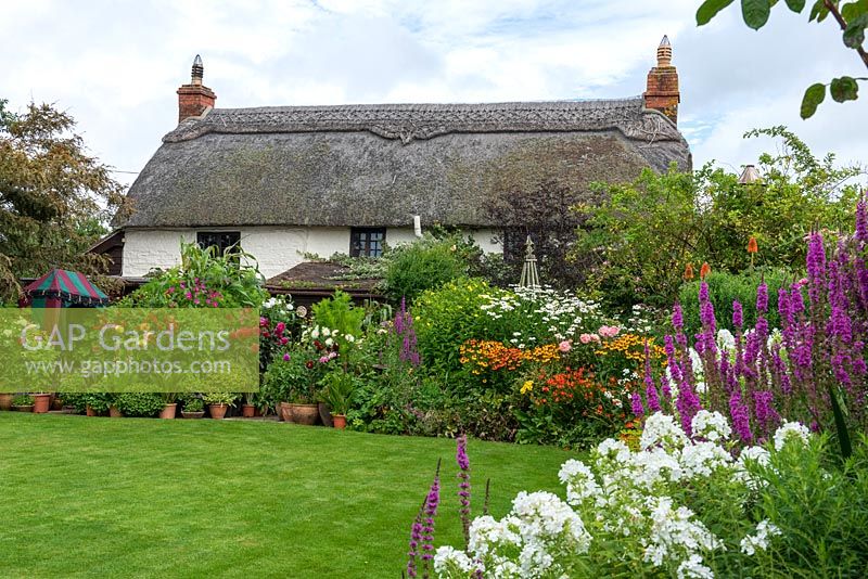 Flowing borders of traditional cottage garden favourites and pots of dahlias embrace a 250-year-old thatched cottage.
