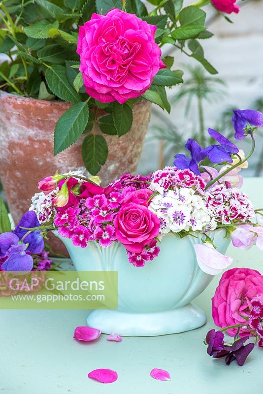 Dianthus barbartus - Sweet williams, roses and sweet peas in vintage blue vase