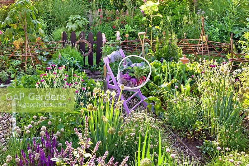 Vegetables and herbs in early summer garden.