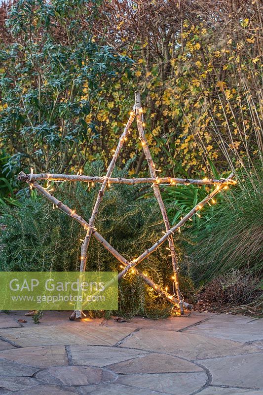Illuminated natural star with fairylights made from lengths of Hazel sticks in front of shrub border