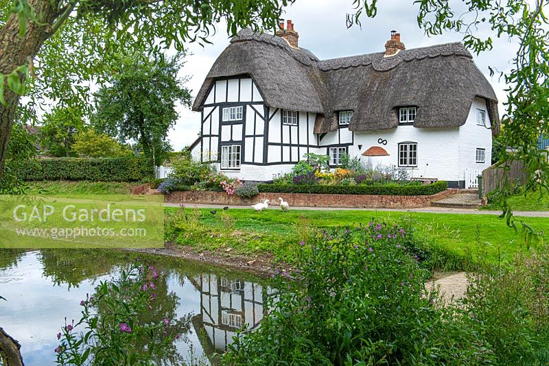 View over ancient village duck pond to old thatched cottage with a contemporary front garden 