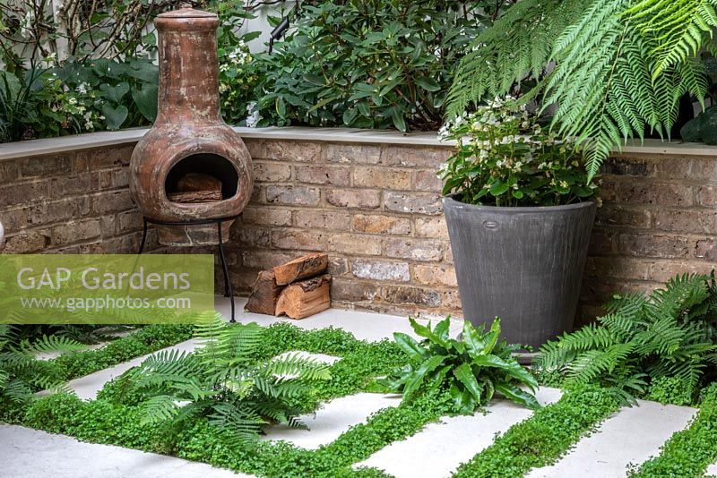Porcelain tiles interplanted with ferns and Soleirolia soleirolii - Mind-your-own-business. Pot of white begonias and chiminea in front of raised beds