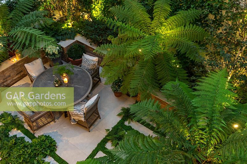 A bird's-eye view of an enclosed courtyard with outdoor dining, the fronds of Dicksonia antarctica - Tree Fern - filtering the light from uplighters