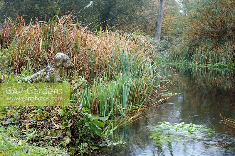 Spring fed garden pond with emergent reeds and aquatic plants and a lichen encrusted garden sculpture of a gun dog beside the pond
