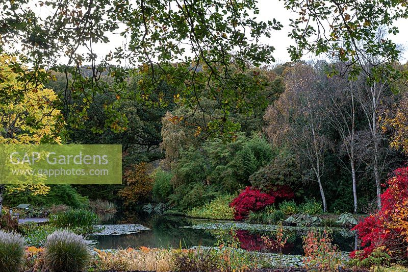 Rosemoor Gardens - Autumn colour at the lake.