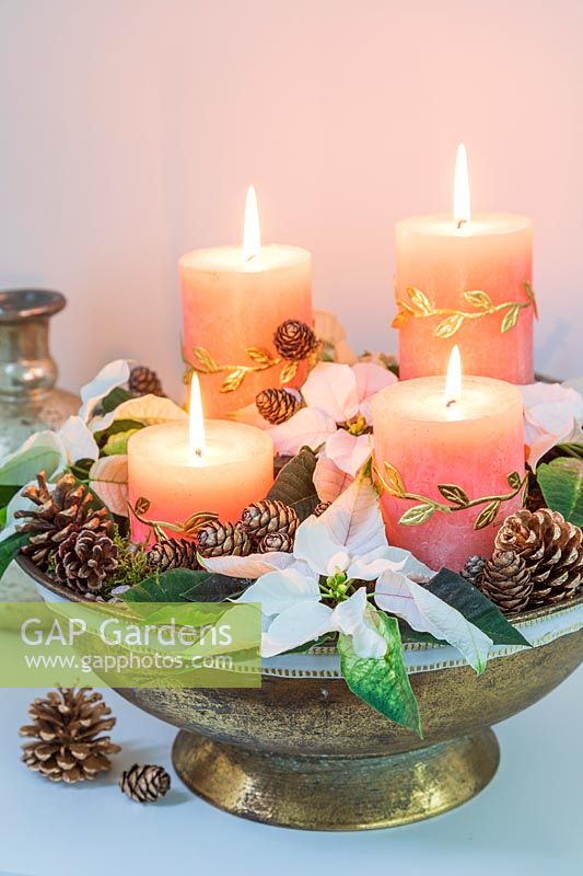 Arrangement in a golden bowl, with four pillar candles, Poinsettia flowers, cones and moss