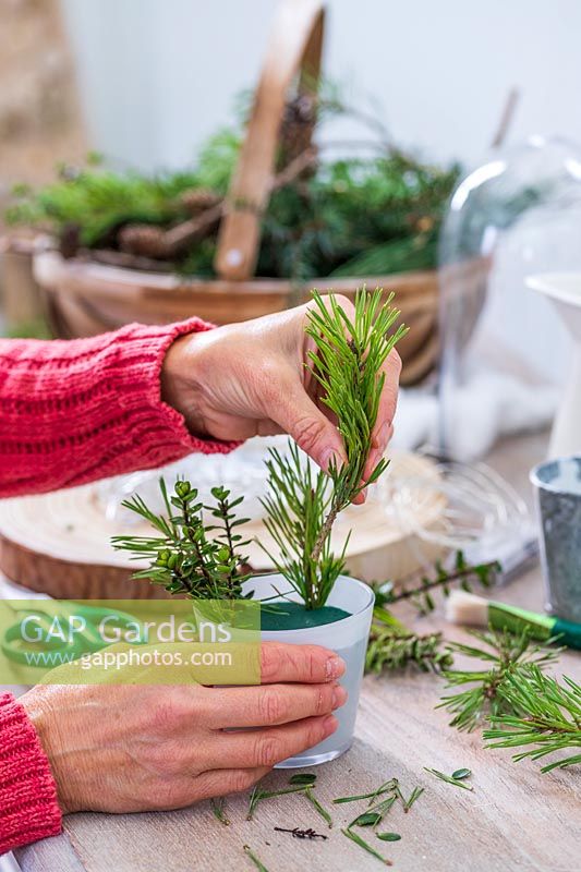 Inserting evergreen sprigs of greenery into a glass 