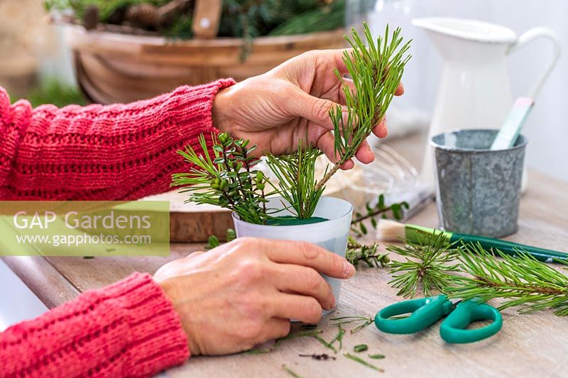 Inserting evergreen sprigs of greenery into a glass