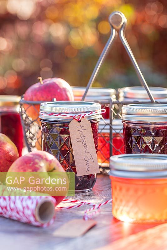 Selection of jams and jellys in Autumn with apples - with English labels