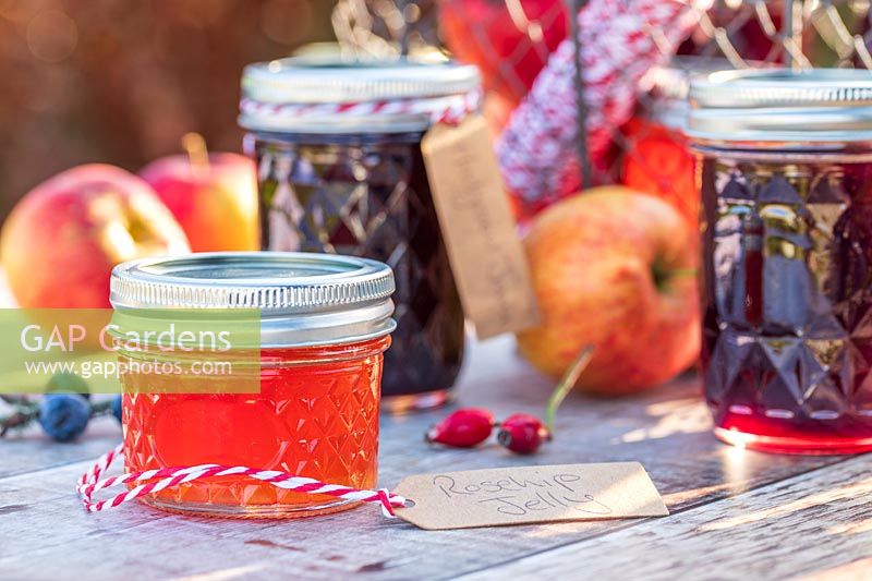 Selection of jams and jellys in Autumn with apples - English labels
