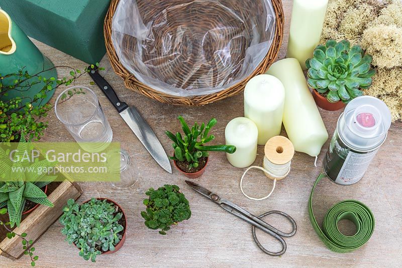 Materials and tools for creating a green advent basket with succulents