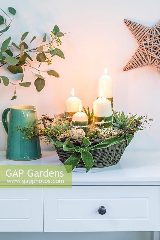 Advent arrangement in basket with white pillar candles and succulents including Monanthes, Haworthia, Sempervivum and Muhlenbeckia