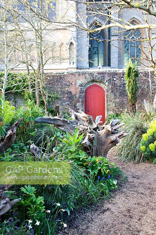 Path towards decorative red gate, with sculptural wooden tree stumps and spring planting. The Stumpery Garden, Arundel Castle, West Sussex, UK. 