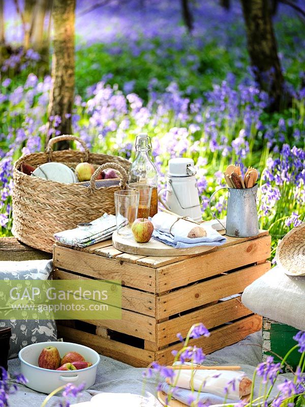 Picnic items set out in Bluebell wood in Spring. 