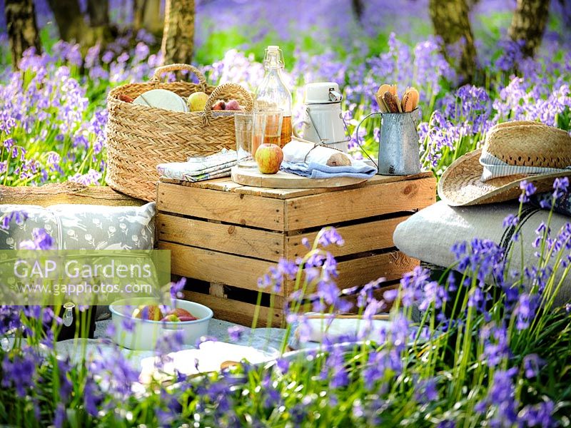 Picnic items set out in Bluebell wood in Spring
