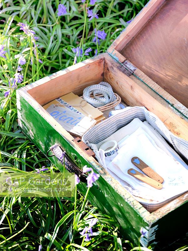 Wooden suitcase with picnic items placed among Bluebells in Spring. 