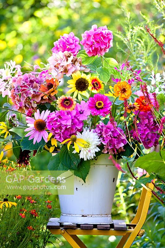 Bucket of summer flowers placed on a chair - sunflowers, zinnias, dahlias, phlox, hydrangea, rose mallow and cleome.