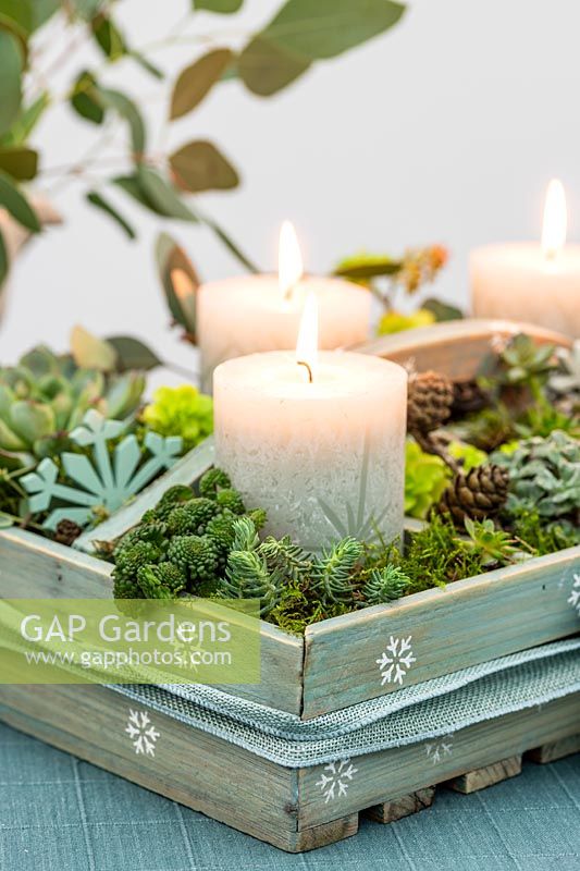 Advent arrangement in wooden box with carved pillar candles and succulents being used as a centrepiece on a dining table. 