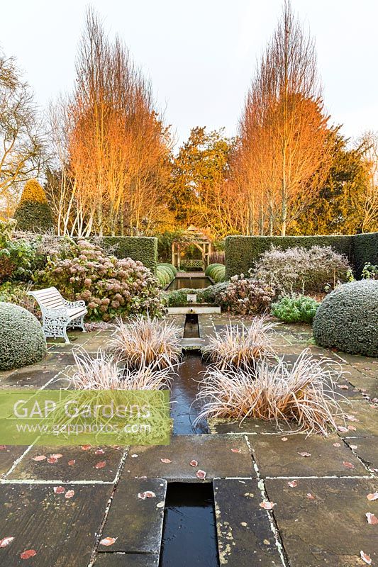 The Lower Rill Garden on a frosty December morning. Planting includes: Iris ensata, clipped yew balls and hedge 'Taxus baccata', Hydrangea macrophylla and beyond fastigate hornbeam, Carpinus 'Frans Fontaine' catches the dawn light.