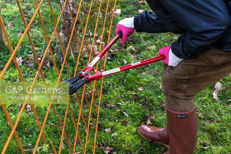 Man cutting wire mesh with a structural steel mesh cutter - Step by step How to make a rose arbour from wire mesh steel rebar. 