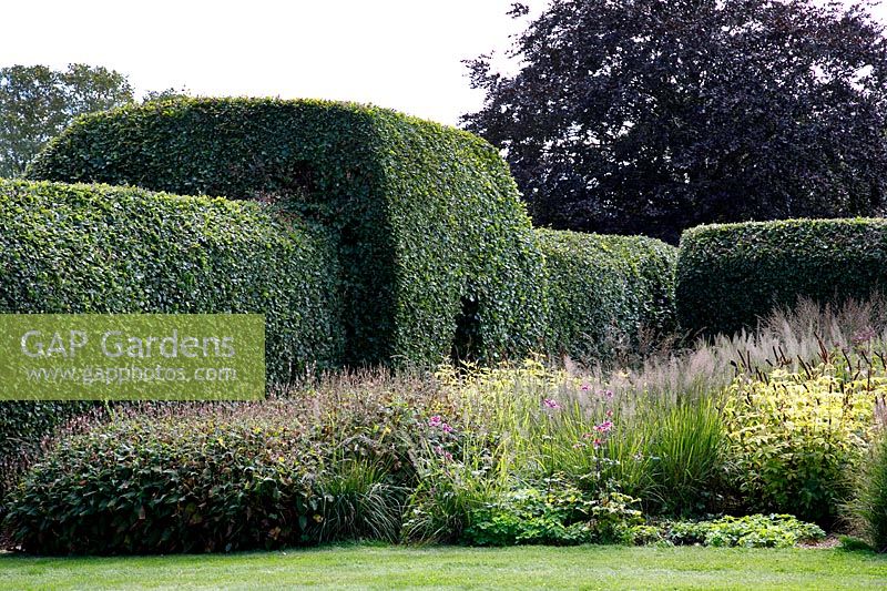 Fagus sylvatica hedge with opening at Grendon Court, Herefordshire