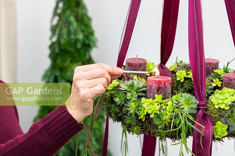 Woman lighting the first candles in the succulent advent wreath, signifying the first Sunday in advent. 