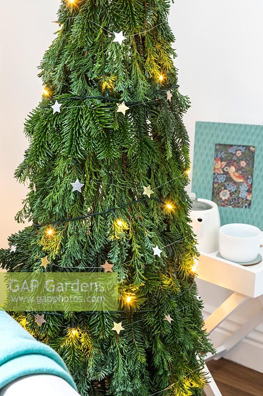 Close up detail of a space saving Christmas Tree made with pine - Abies and conifer - Juniperus foliage attached to a willow obelisk and decorated with star decorations and lights