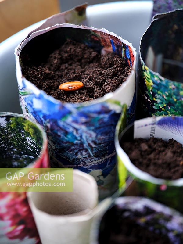Homemade colourful paper pors with compost and beans