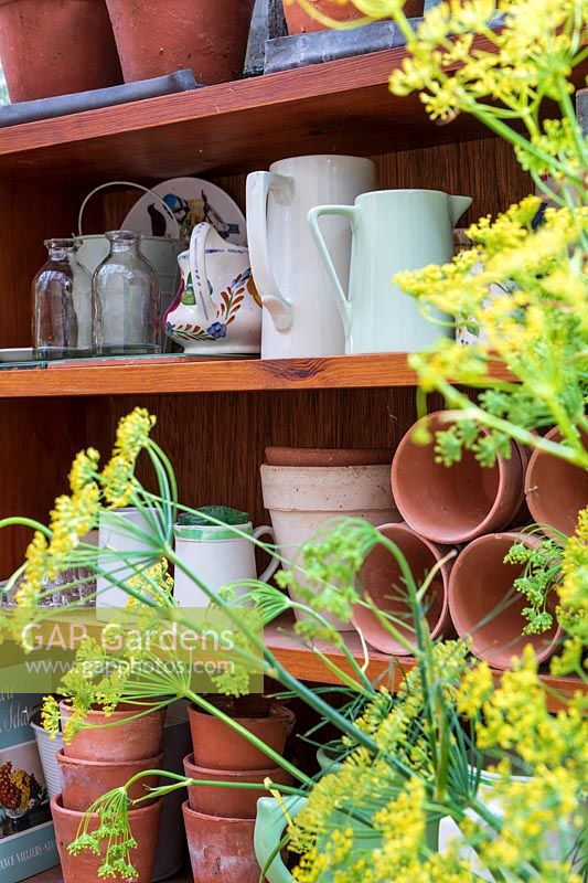 Shelves of terracotta pots and vases