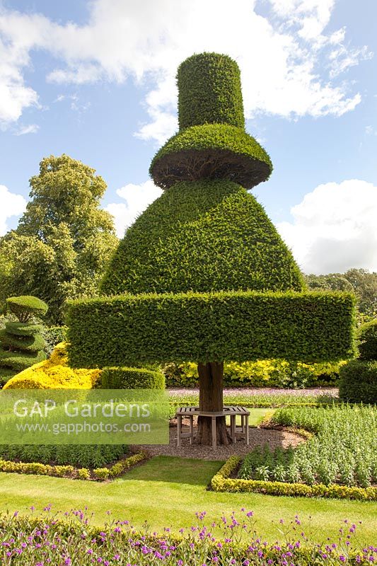 Unusual topiary with tree seat underneath