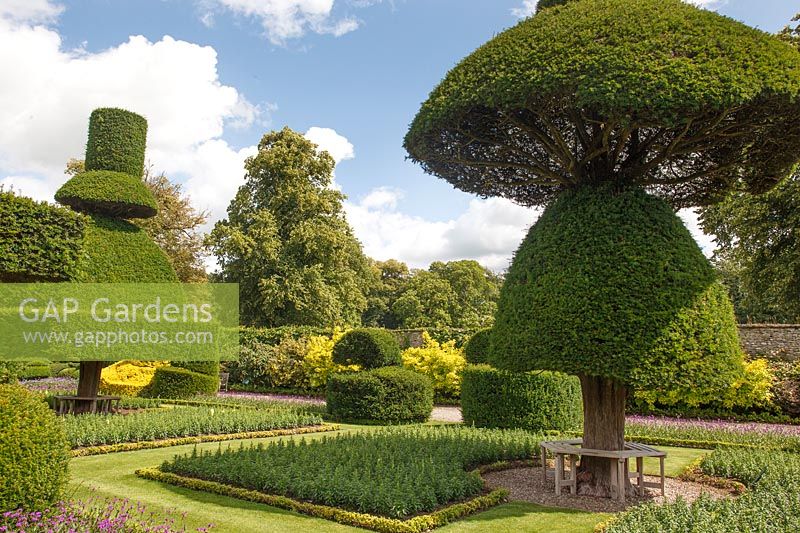 Unusual topiary shapes with tree seats underneath and formal beds either side