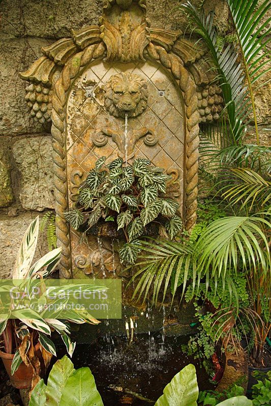Ornate wall fountain in a tropical garden