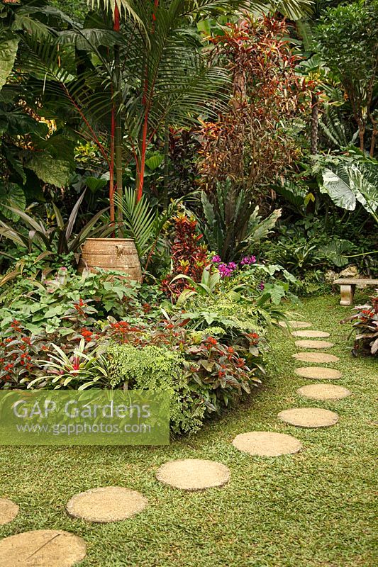 Path of circular paving stones in a tropical garden 