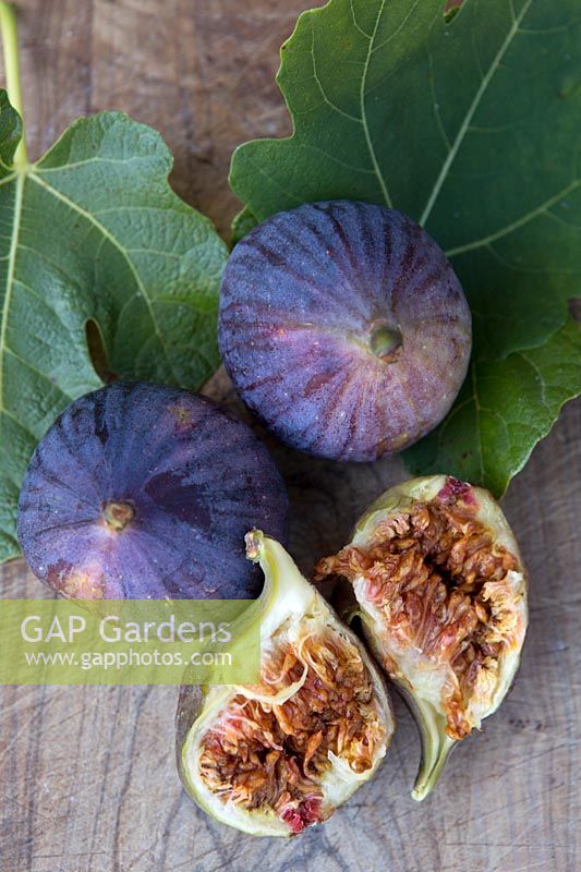 Ripe figs with leaves