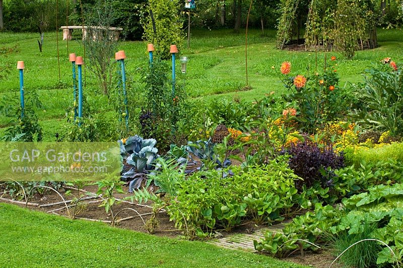 Potager garden with Dahlia, Tagetes and vegetables